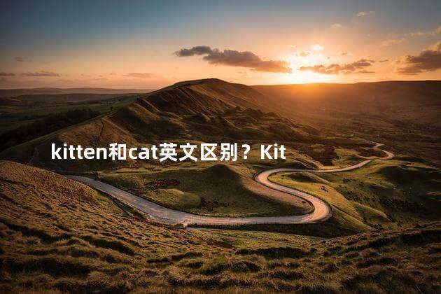 kitten和cat英文区别？Kitten vs. Cat What's the Difference